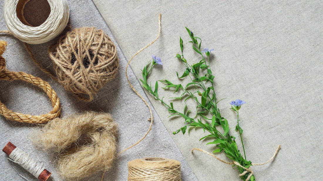 Ľan – prírodný poklad vo vašom šatníku